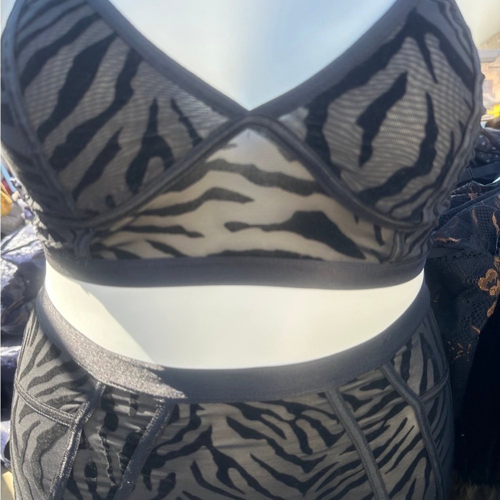 Torrid  Zebra Print Mesh Bralette and Panty Set